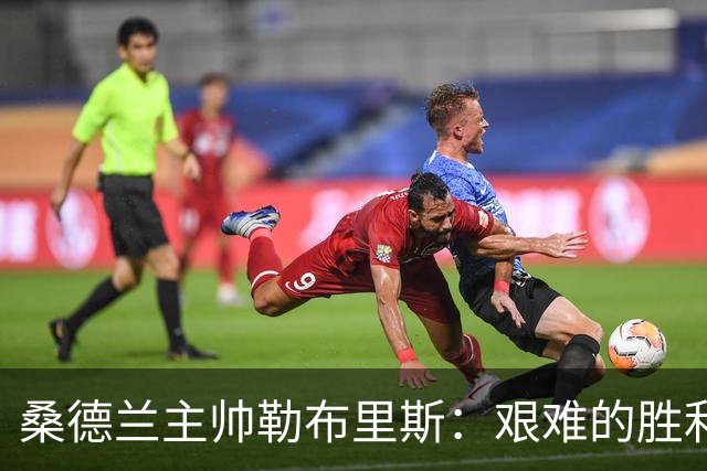 桑德兰主帅勒布里斯：艰难的胜利与年轻球员的成长